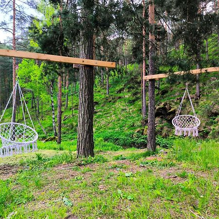 Vila Pogled Wellness I Spa Дівчибаре Екстер'єр фото
