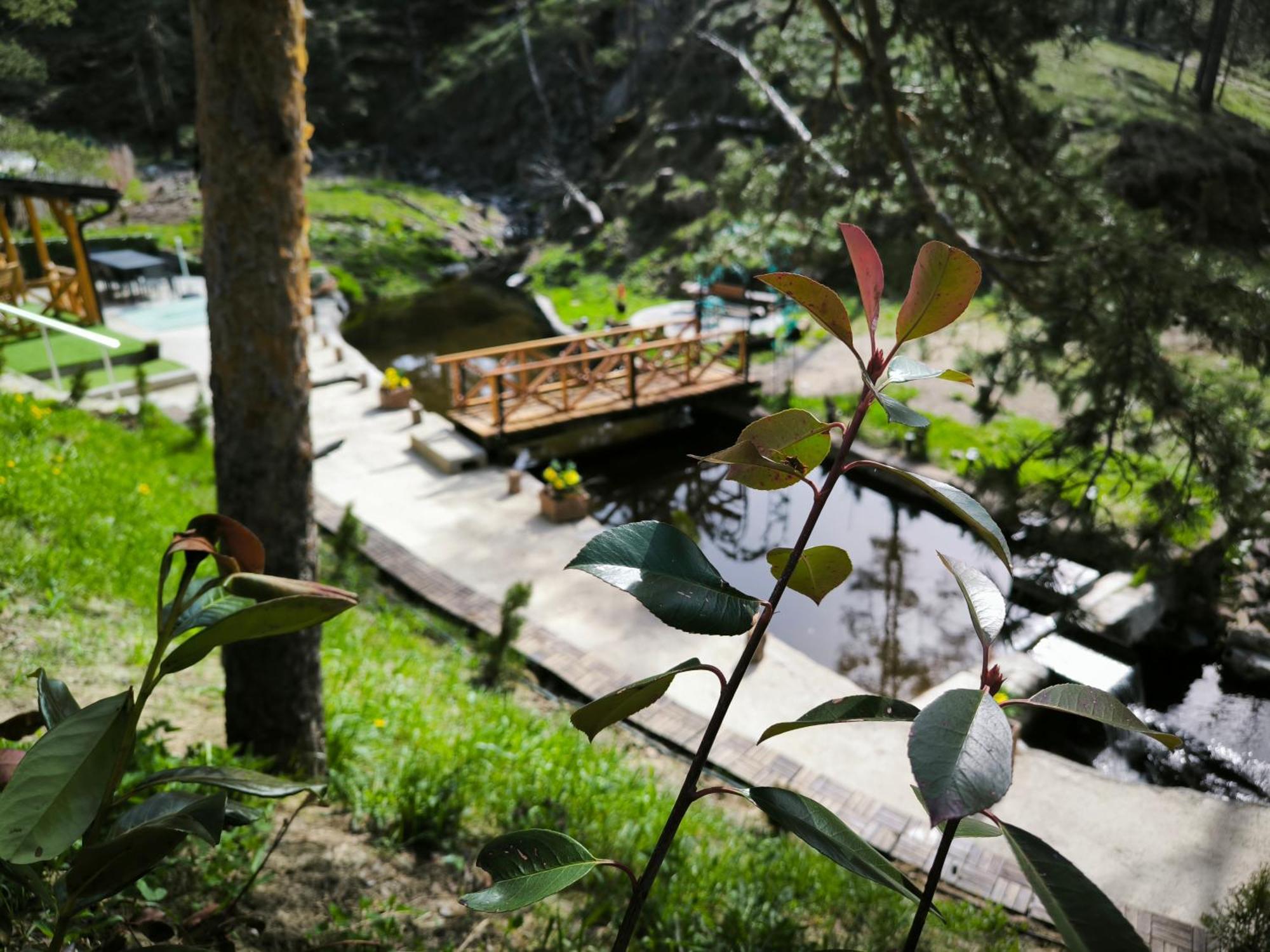 Vila Pogled Wellness I Spa Дівчибаре Екстер'єр фото